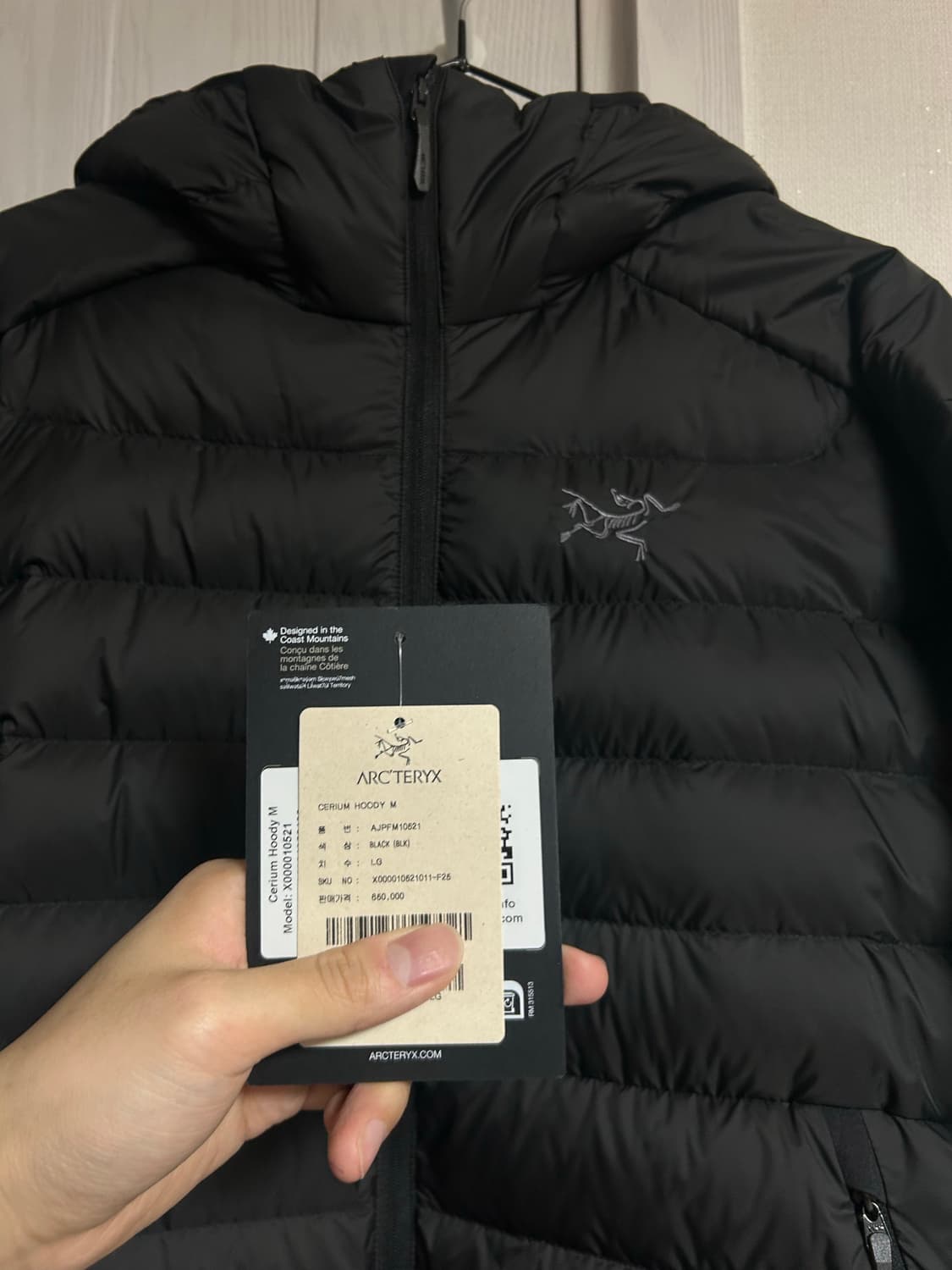 25FW 아크테릭스 세륨 후디 블랙 L 국내판 상품이미지7