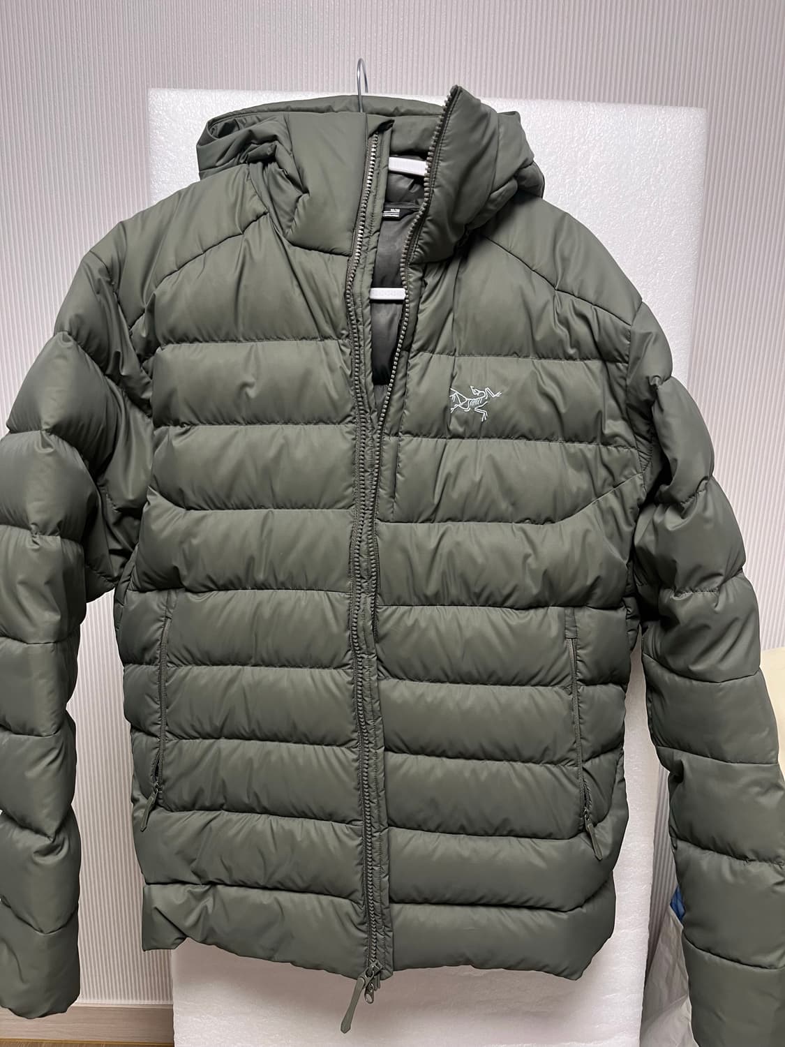 아크테릭스 토륨후디 포리지  상품이미지1