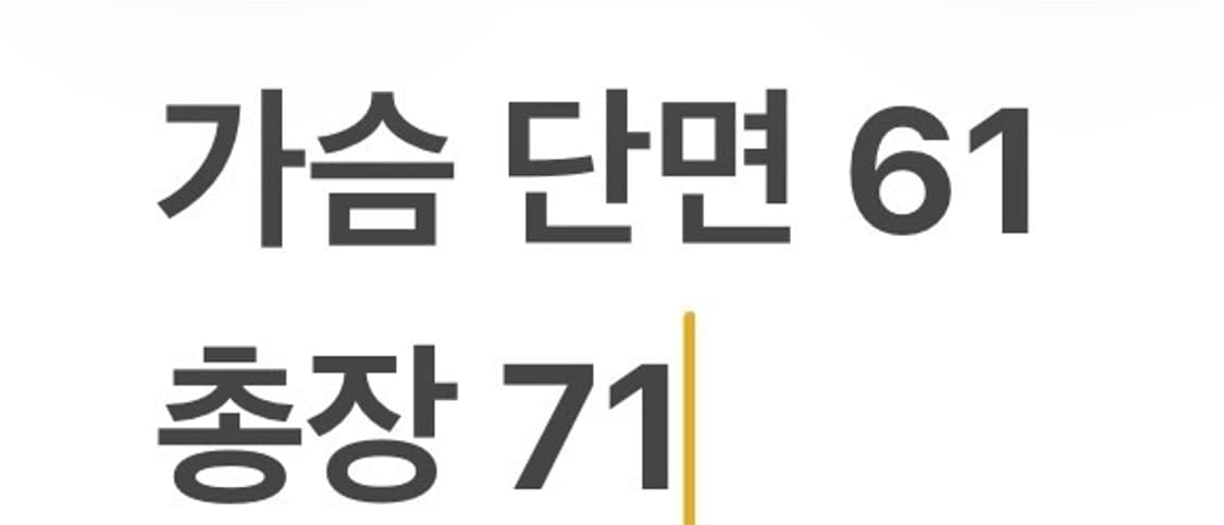 [정품/L] 파타고니아 블루 맨투맨 티셔츠 b16 상품이미지8