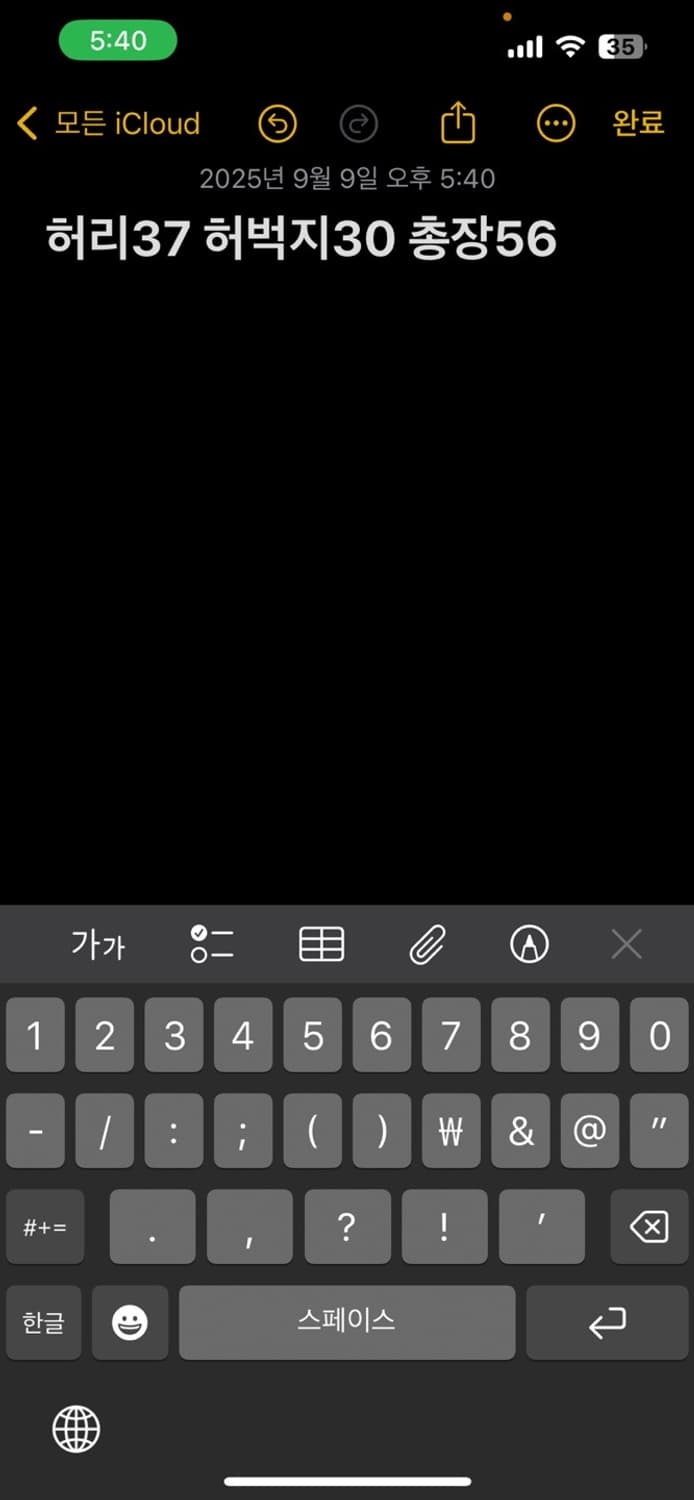 00s 아디다스 유틸 카고 팬츠 상품이미지5