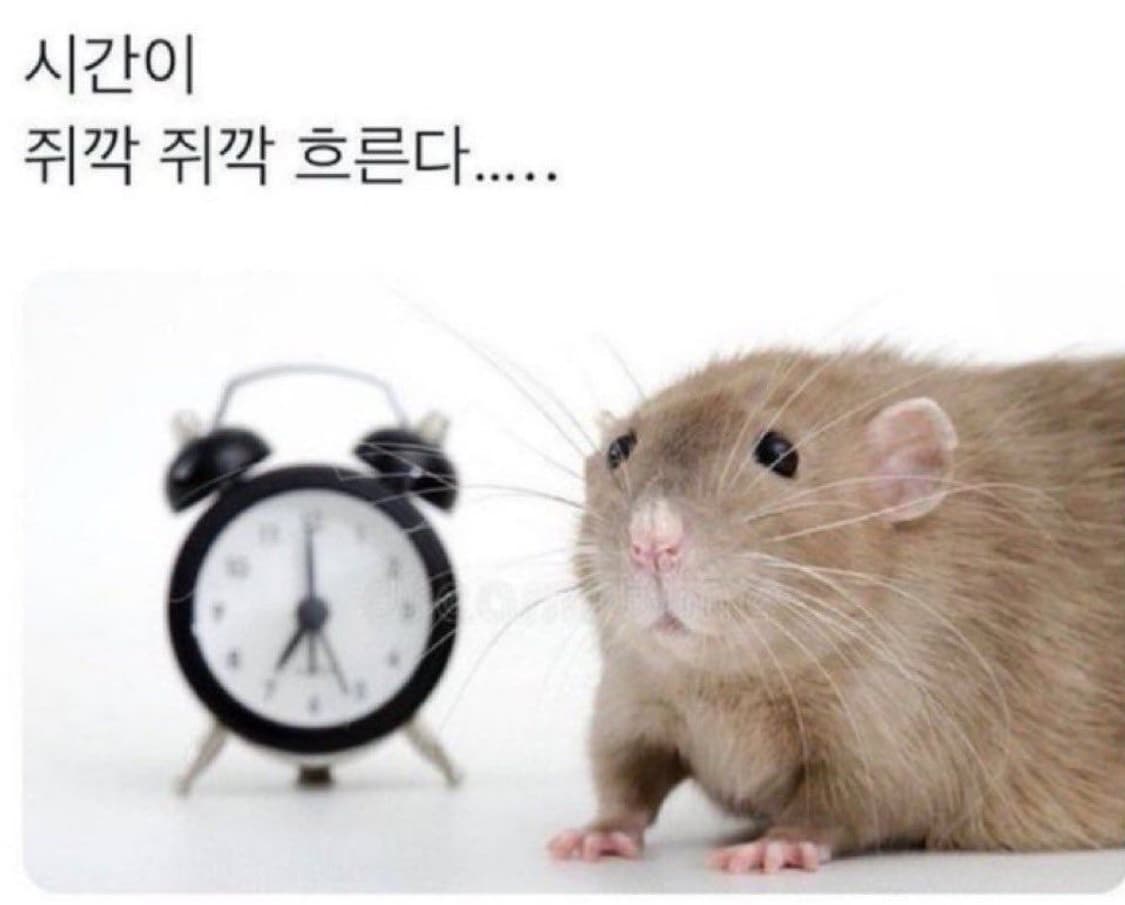 일부 제품 반짝 할인 적용되었습니다 🙇🏻‍♀️  상품이미지1