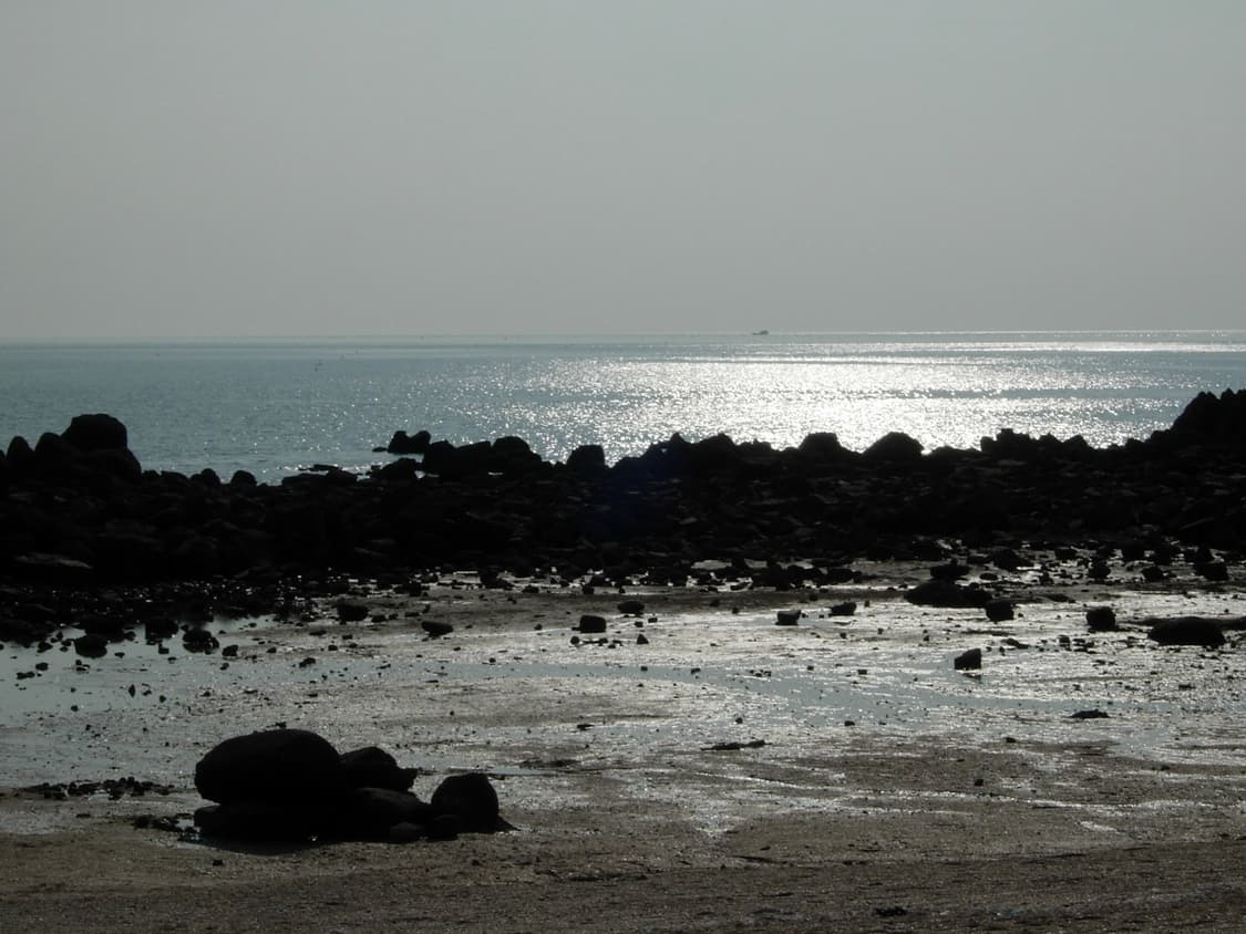 니콘 쿨픽스 4200 (작례O) 상품이미지6