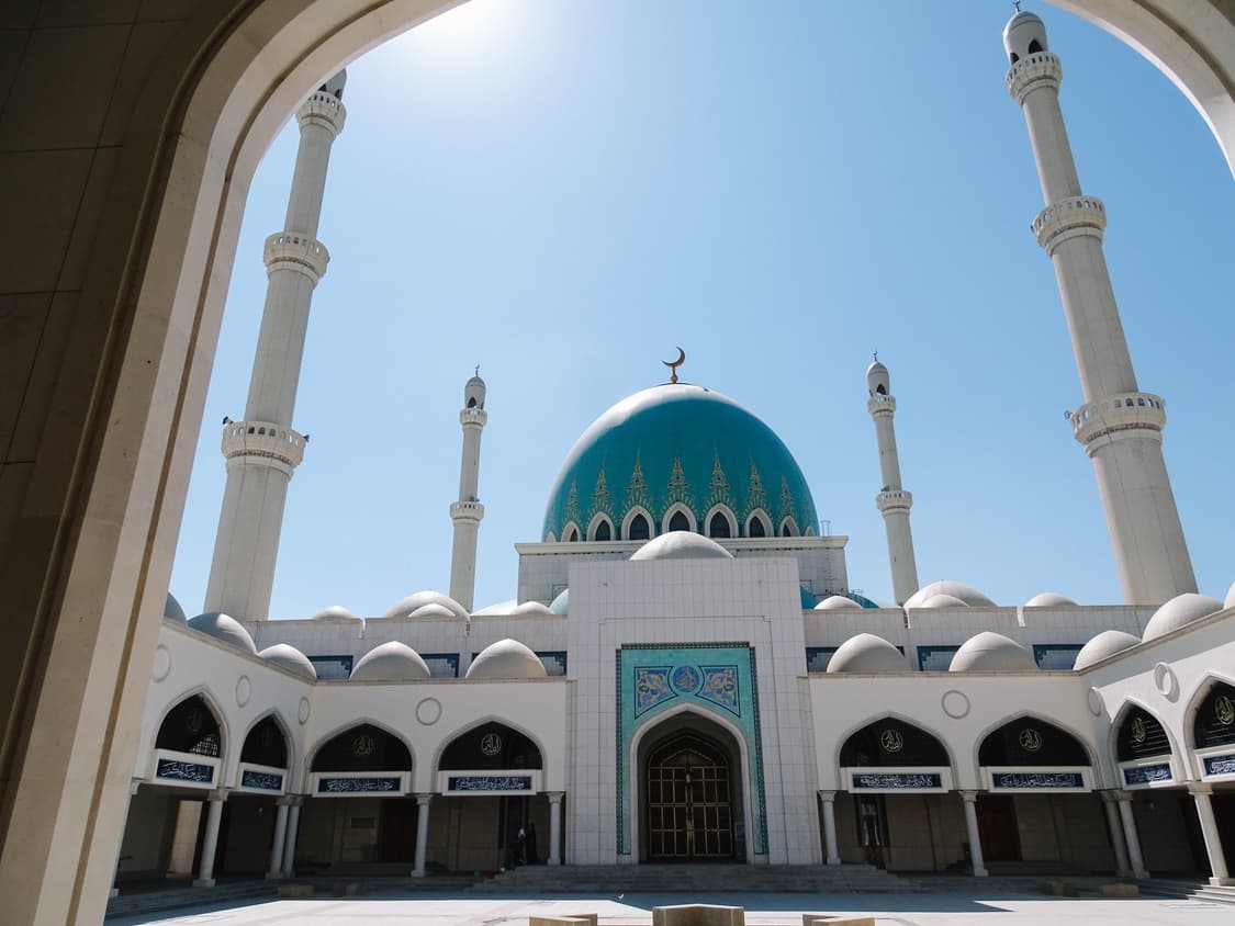 Olympus Camedia C-220 (올림푸스 카메디아 C-220 ) 상품이미지8