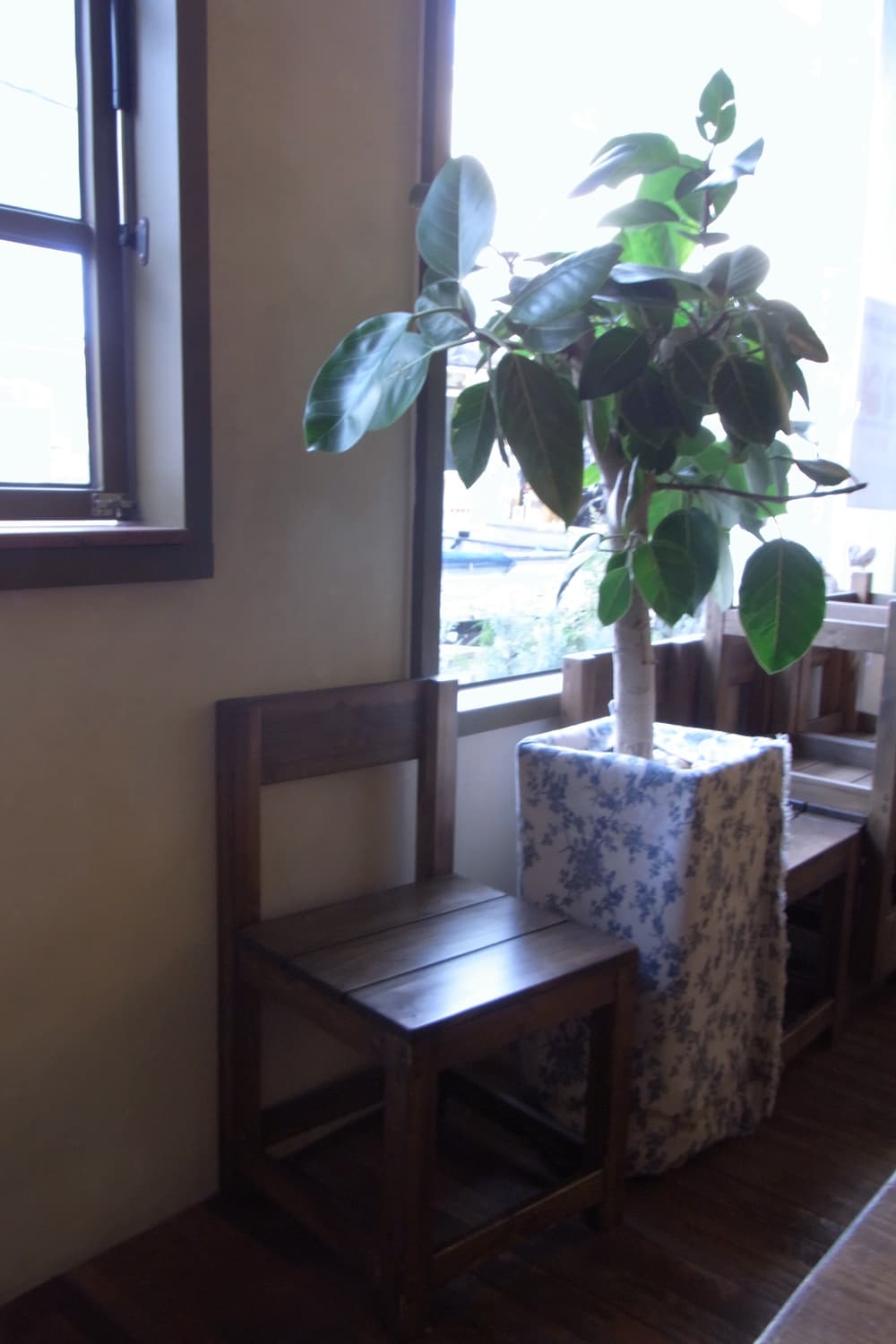 리코 cx1 ricoh 작례 o 상품이미지5