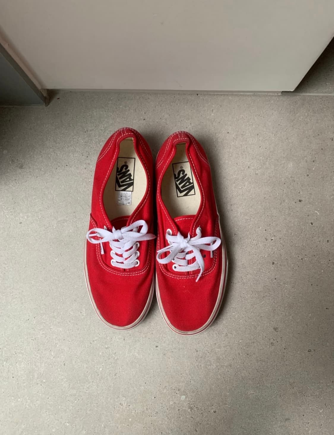 Vans 레드 250 상품이미지2