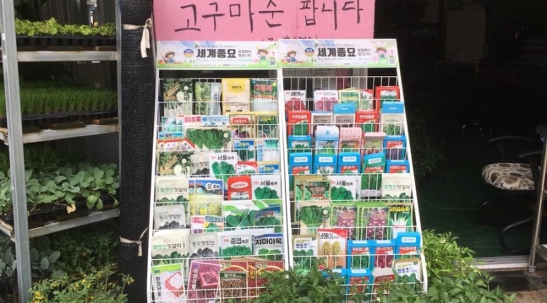 아이폰6s 로즈골드 64GB 상품이미지2