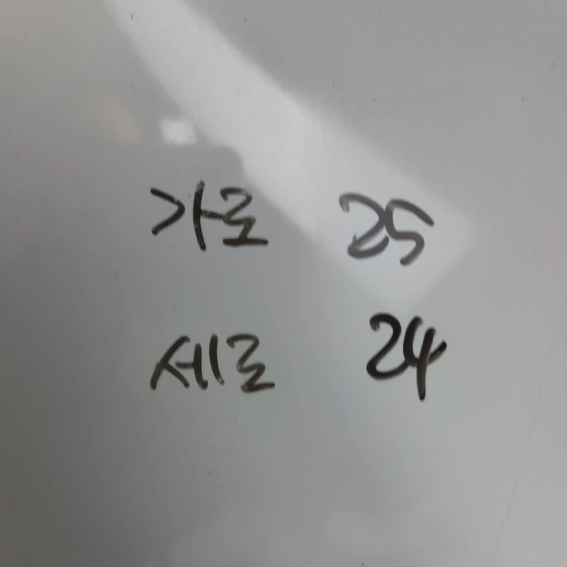 새상품급) 에스콰이어 인디핑크 버킷백 숄더백 가방 상품이미지10