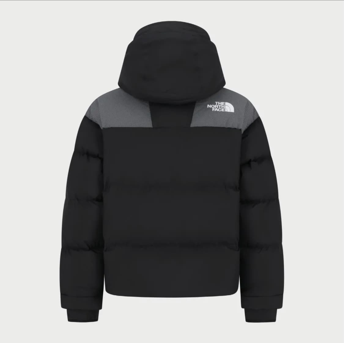 노스페이스 라인엑스 남성 다운패딩 상품이미지2
