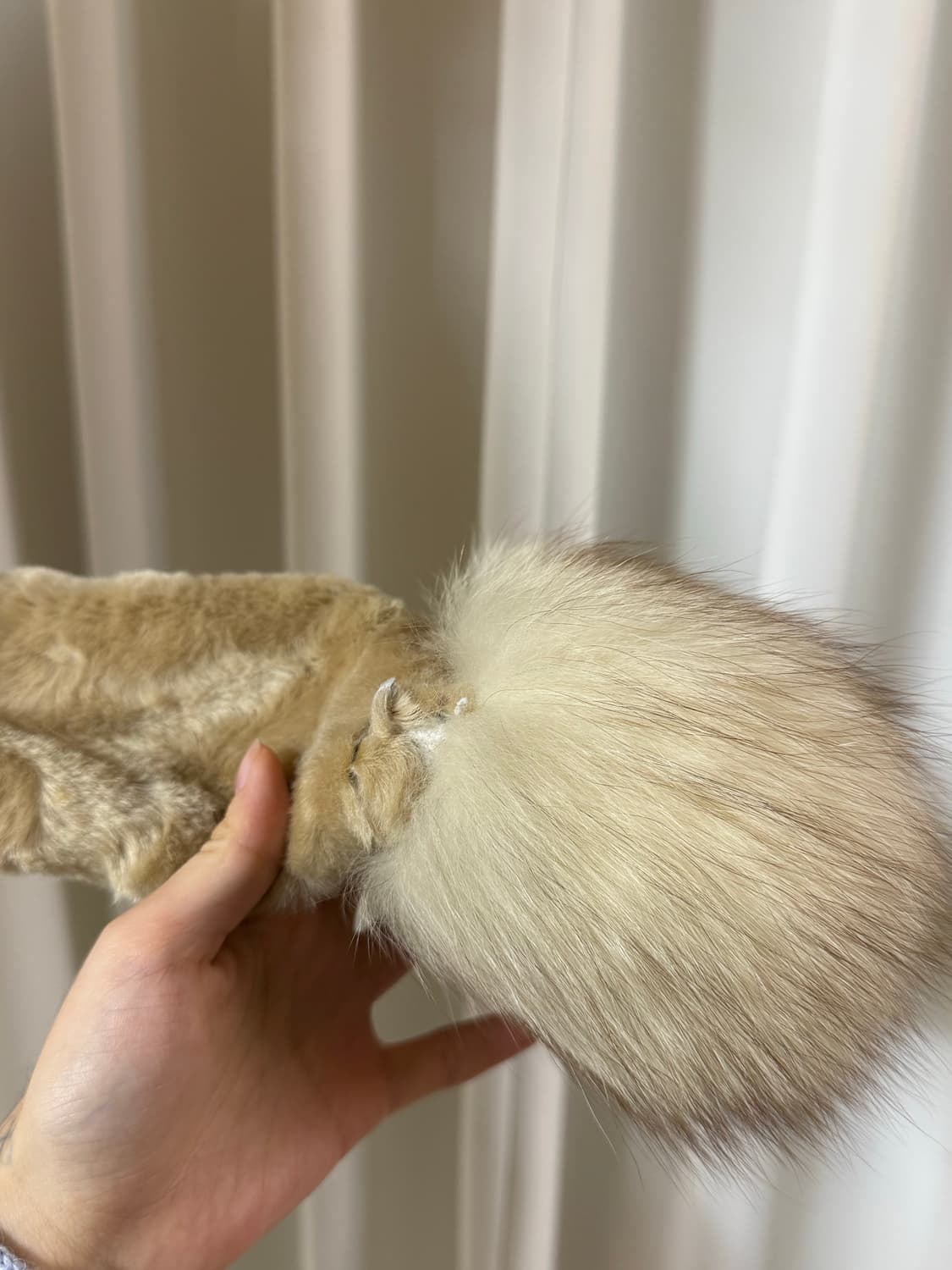 핀터레스트 무드 리얼 퍼 자켓 상품이미지6