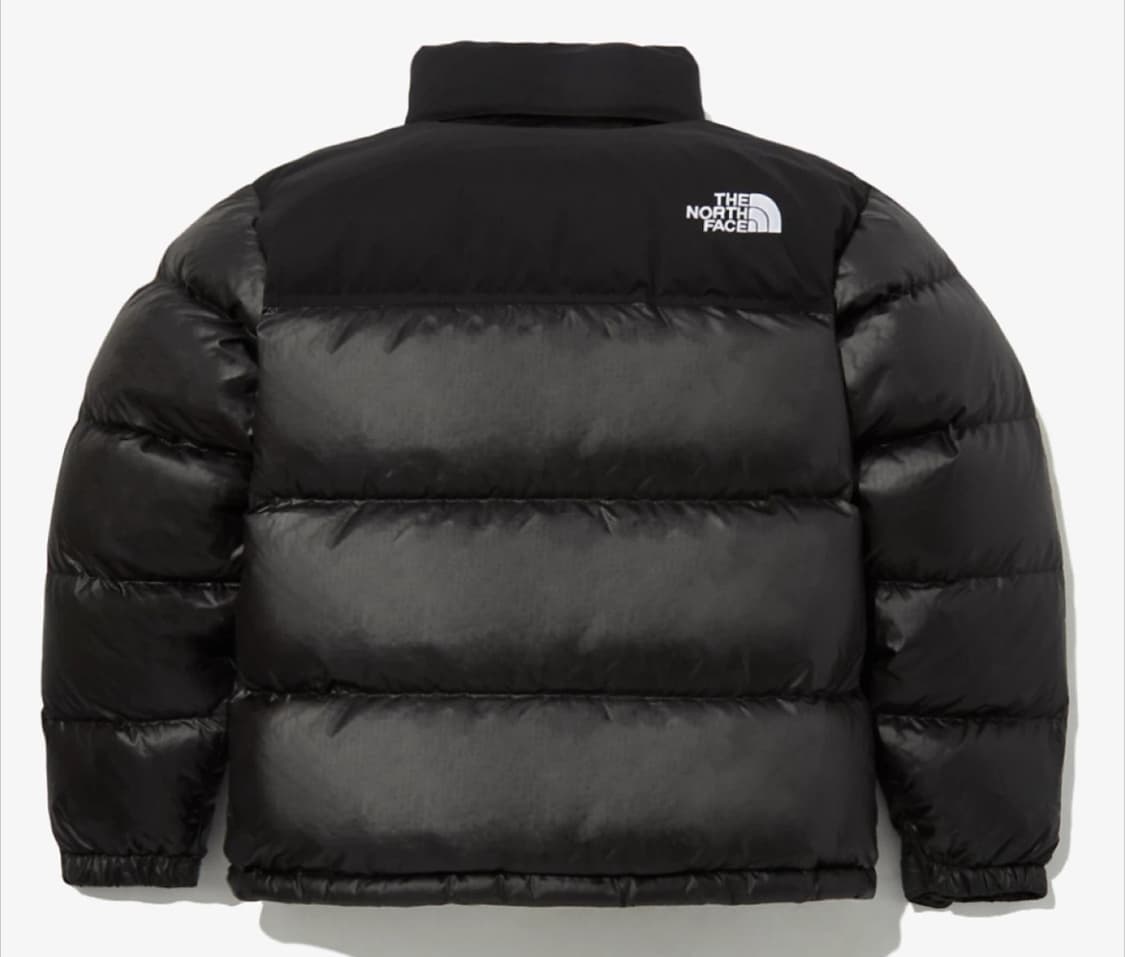 노스페이스 노벨티 눕시 다운 자켓 NJ1DP62J 상품이미지3