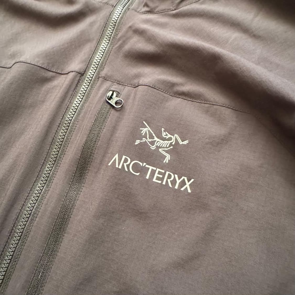 아크테릭스 스쿼미시 후디 상품이미지3