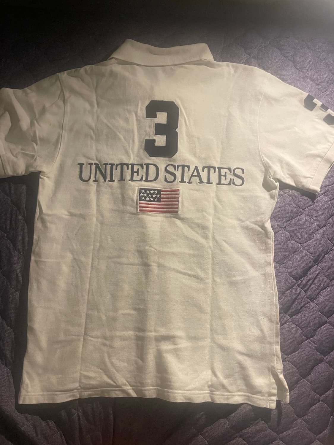 폴로 랄프로렌 치프키프 성조기 카라티 (역대급 급처) 상품이미지2