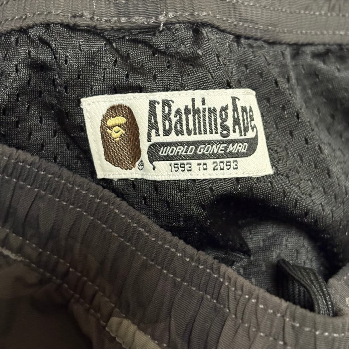베이프 샤크 흑계 나일론 쇼츠 상품이미지4