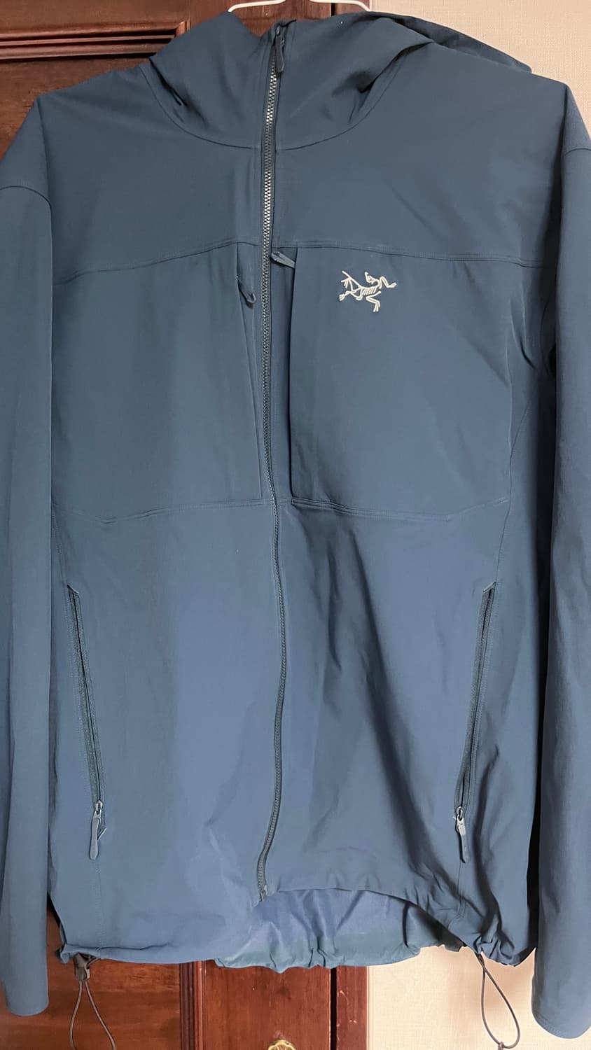 아크테릭스 감마후디 상품이미지3