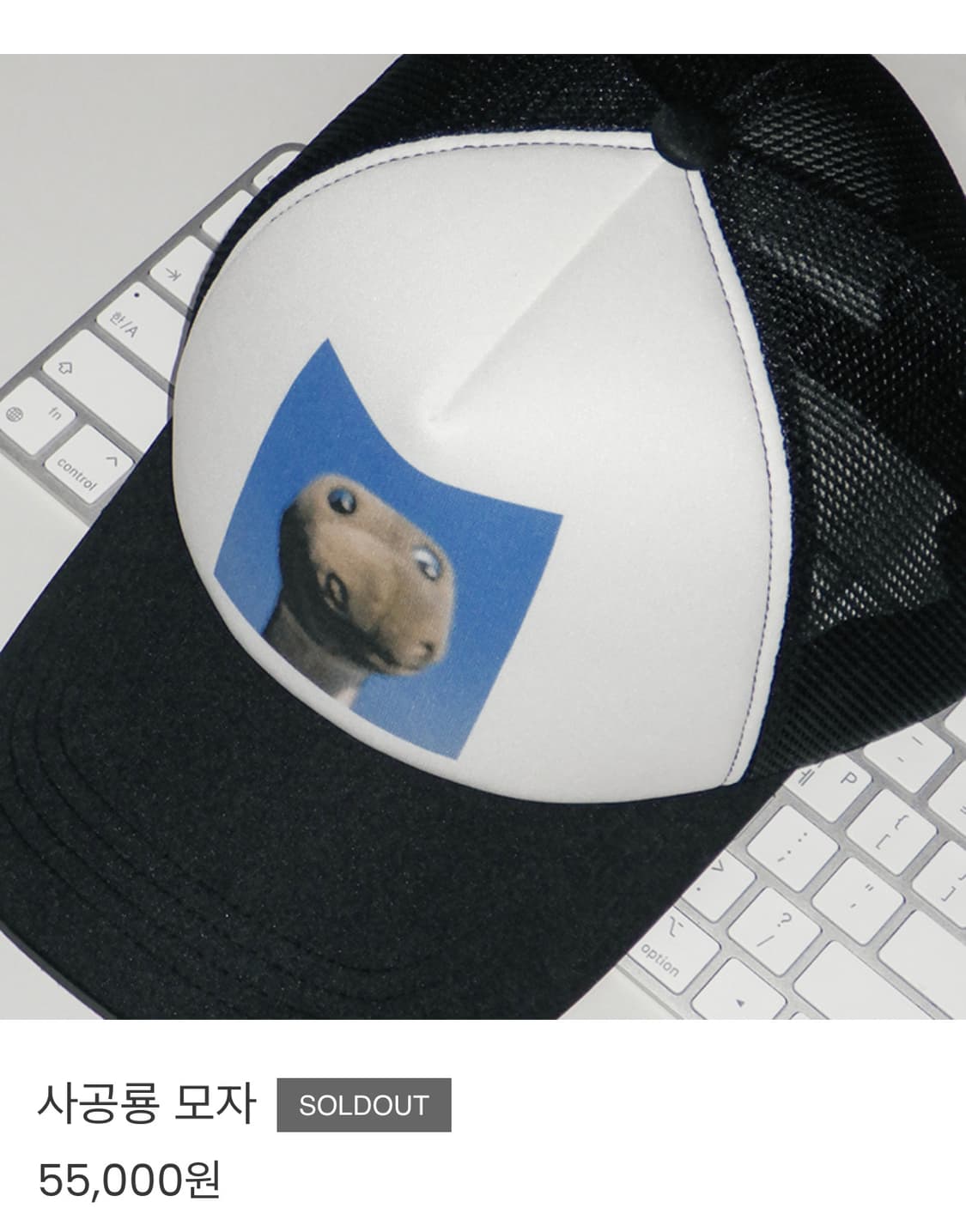 4080 사공룡 스냅백 상품이미지2