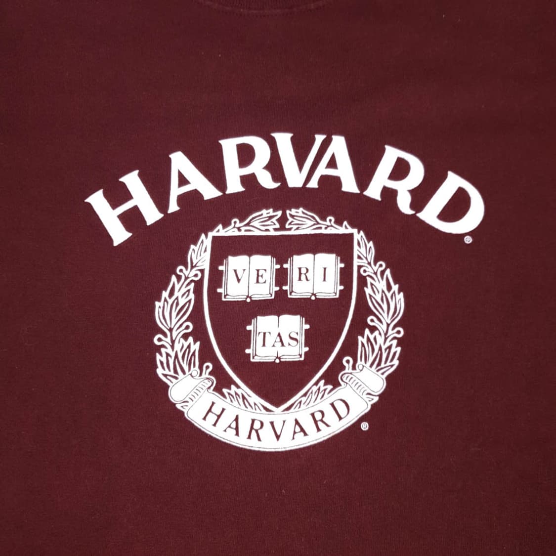 챔피온 버건디 하버드 VERITAS 프린팅 반팔 티셔츠 상품이미지2