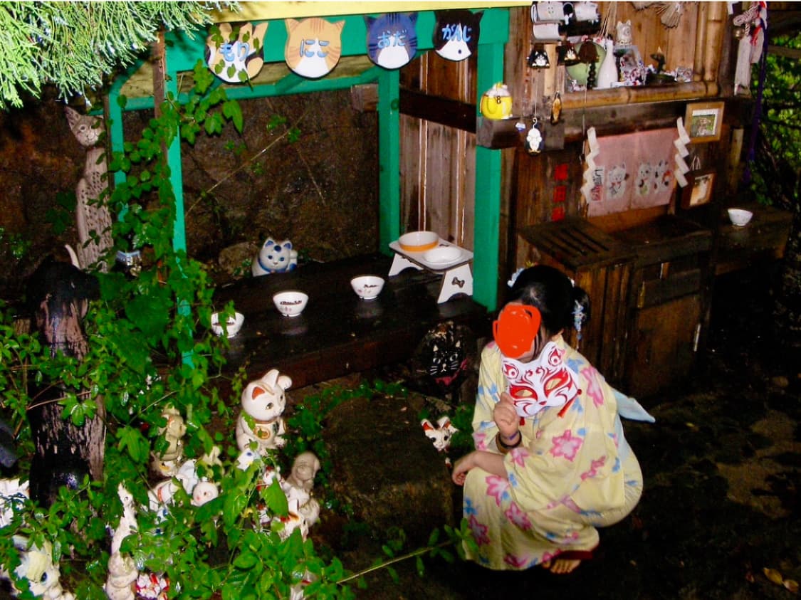 산요작티 캠코더 Sanyo Xacti VPC HD1A 상품이미지5