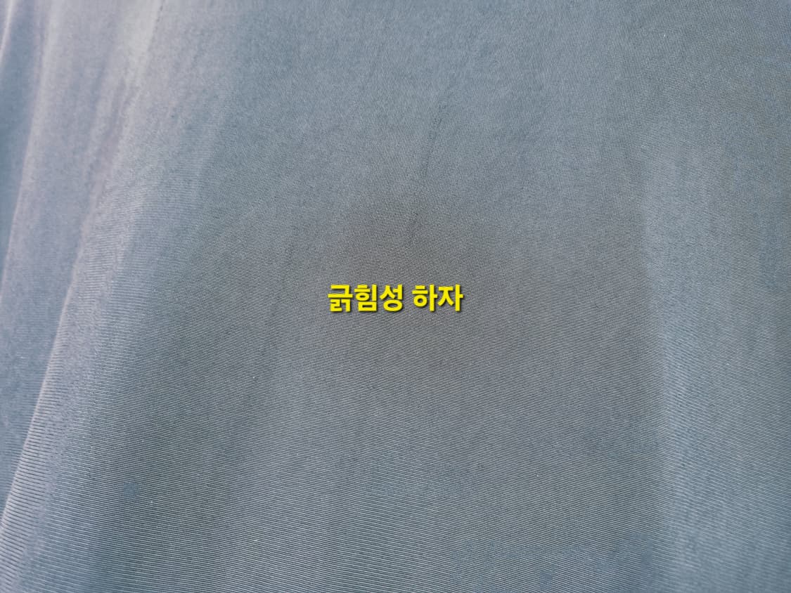 남성 2024 아디다스 신형 불꽃 파이어버드 블랙 검정 트랙탑 져지 저지 상품이미지9