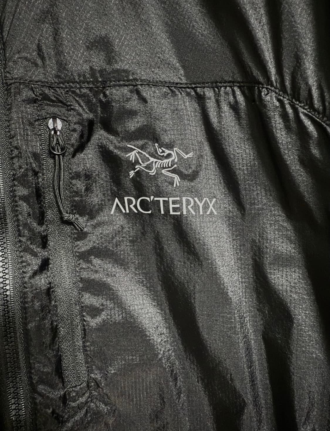 아크테릭스 스쿼미시 후디 블랙 상품이미지4