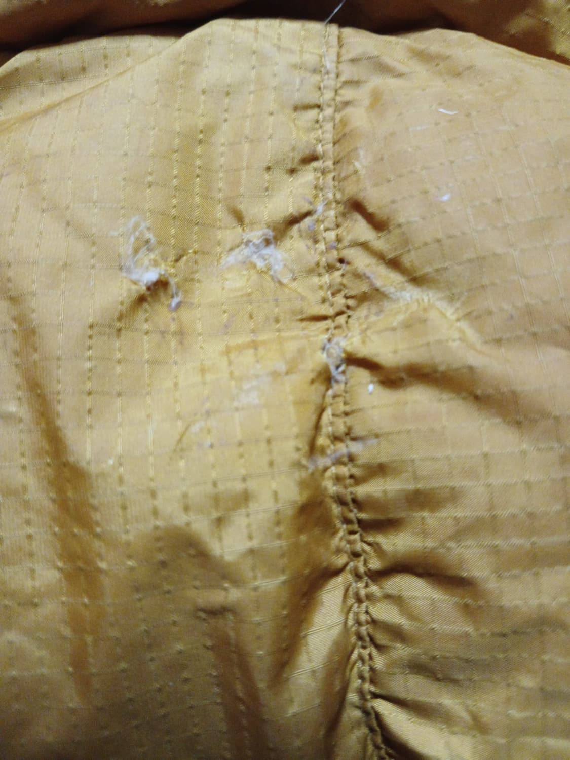 네파 구스 다운 패딩 800필 상품이미지8