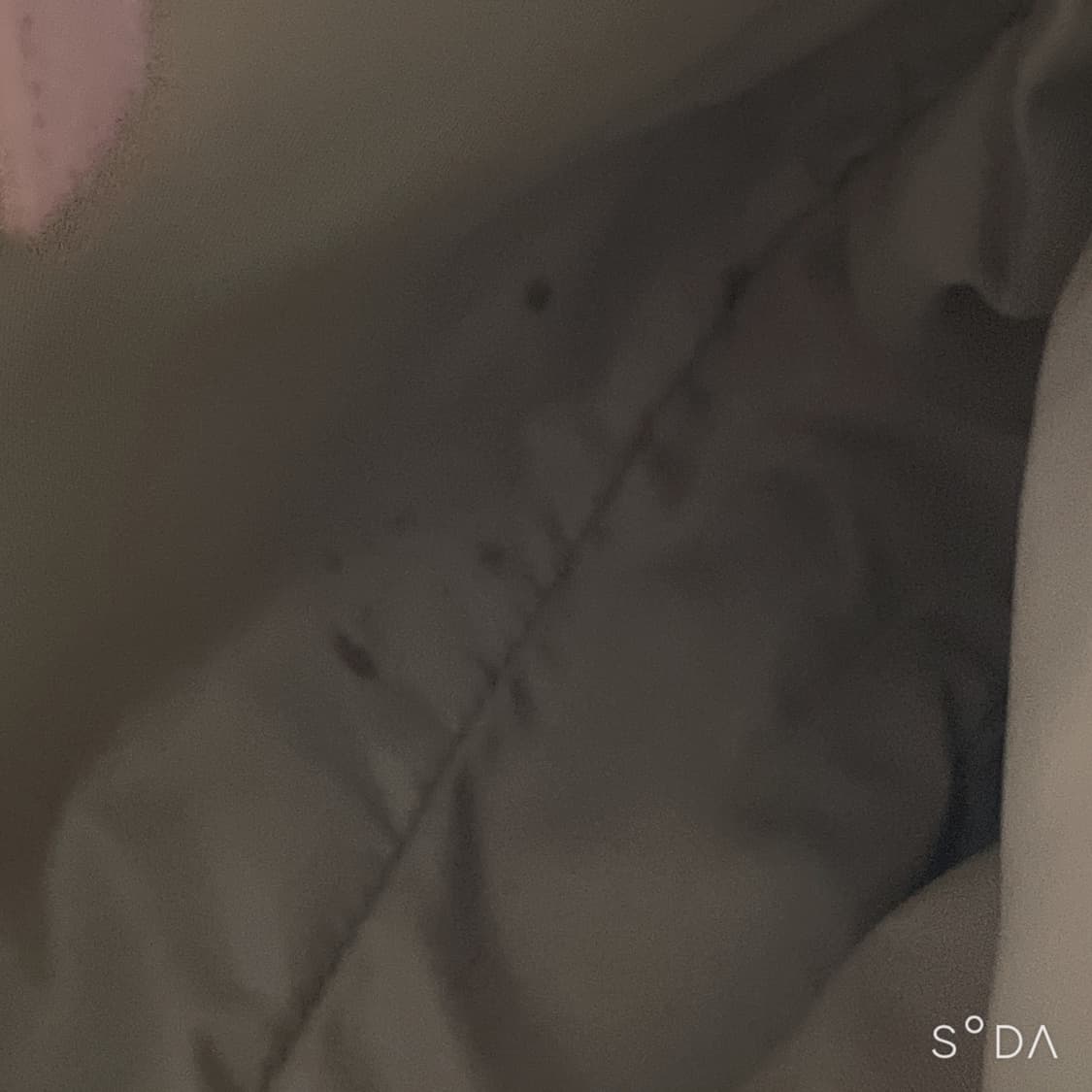 디올 오블리크 핑크 숄더백 상품이미지8