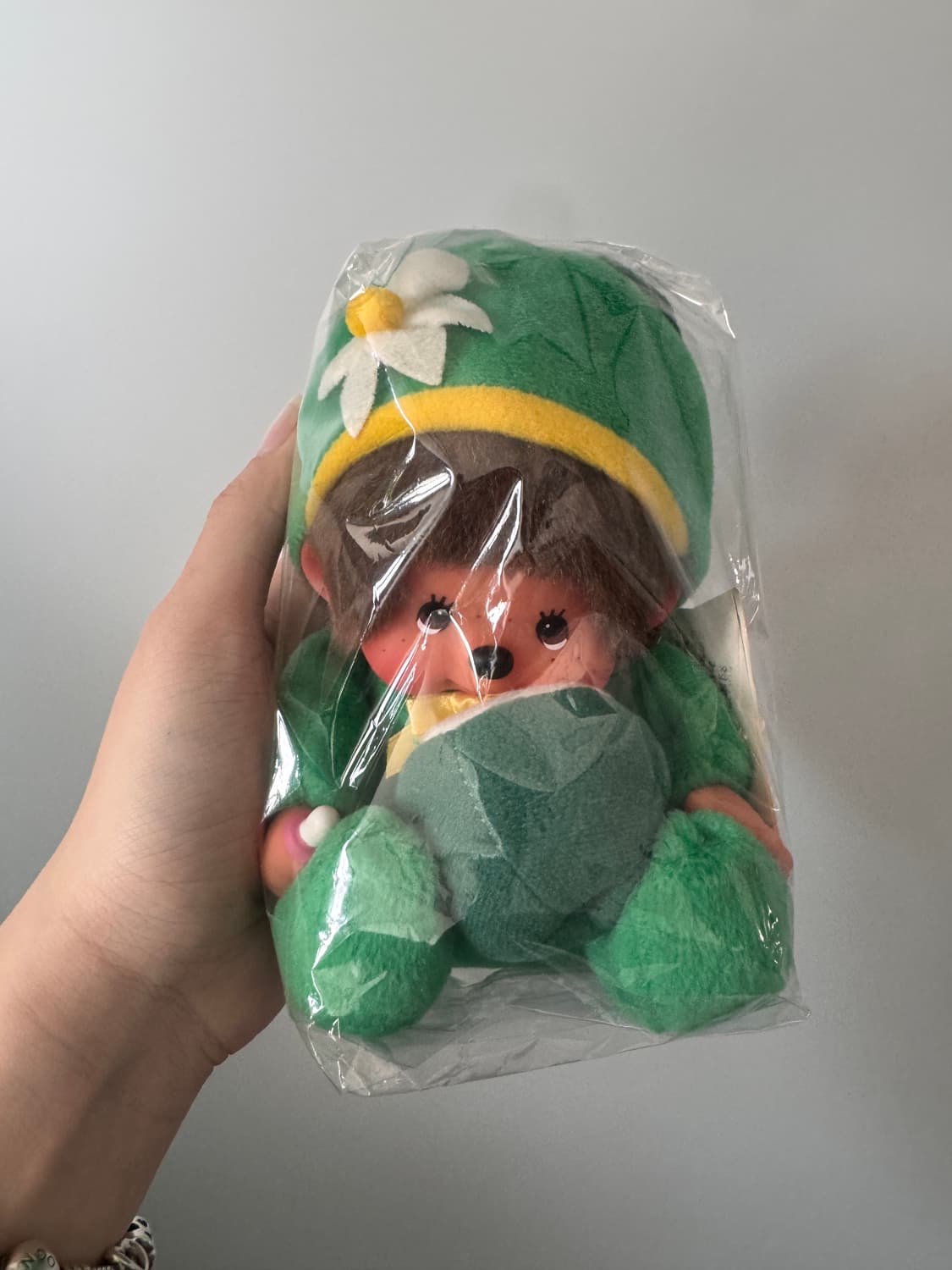 희귀 몬치치 카보스 오이타한정 지역한정 택 ㅇ 상품이미지1