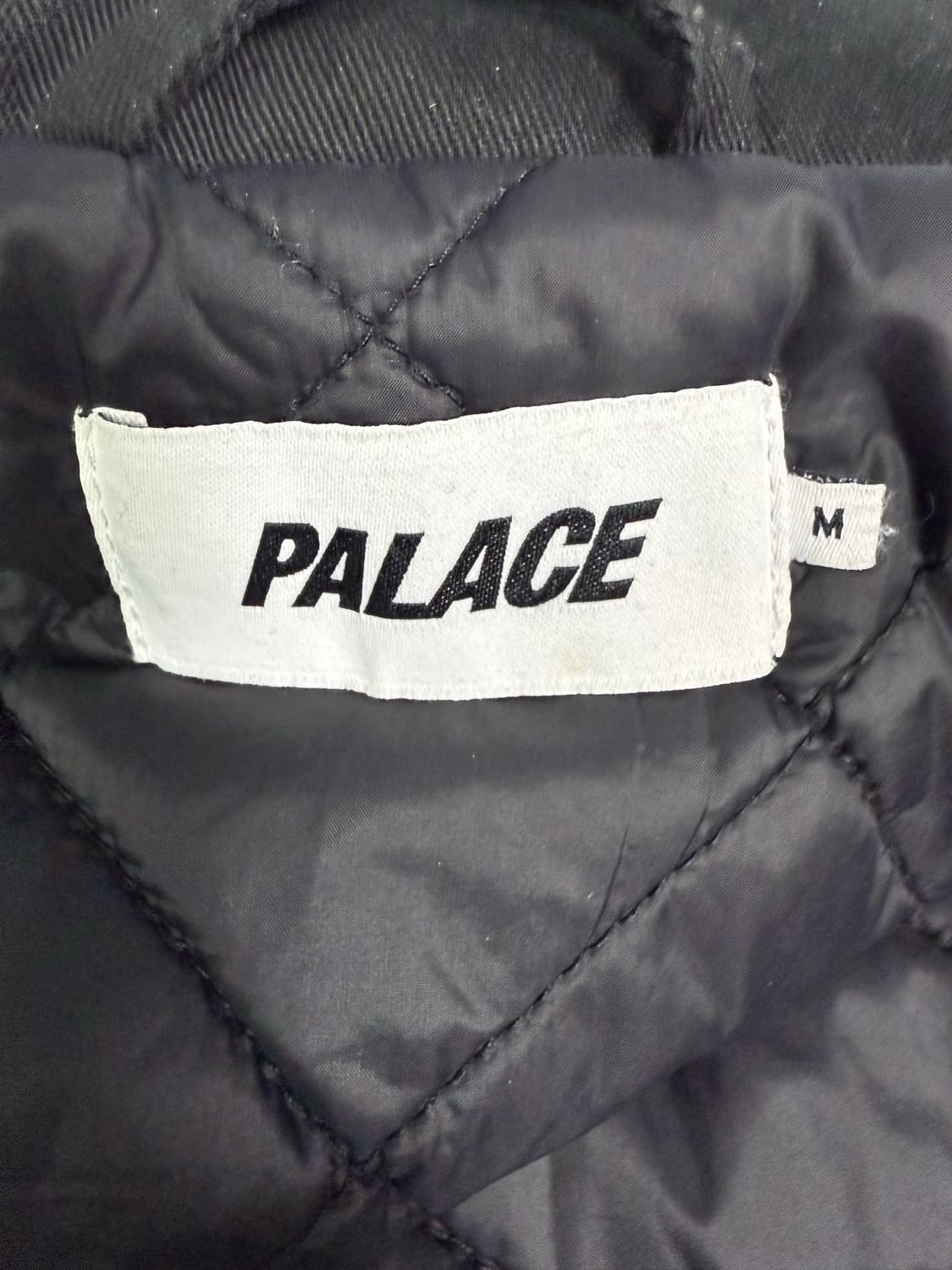 팔라스 팰리렐리 상품이미지2