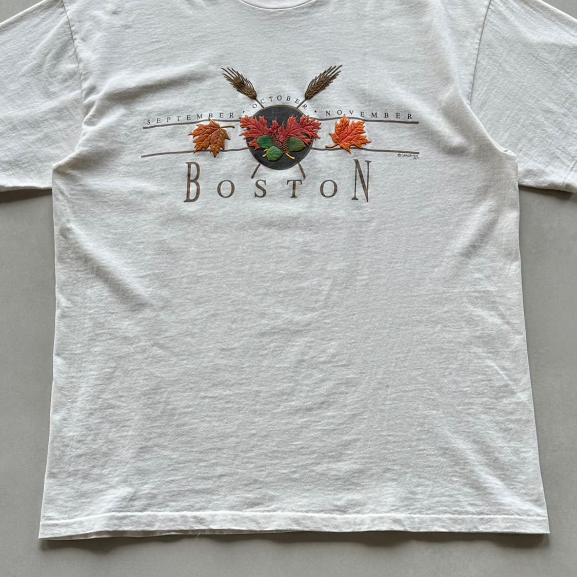 [L]헤인즈 Hanes USA 보스턴 반팔 티셔츠 상품이미지5