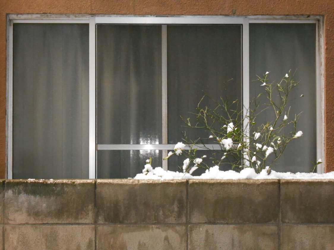 사나 디카 레어 색상 니콘 쿨픽스 s3300 작례o 상품이미지10