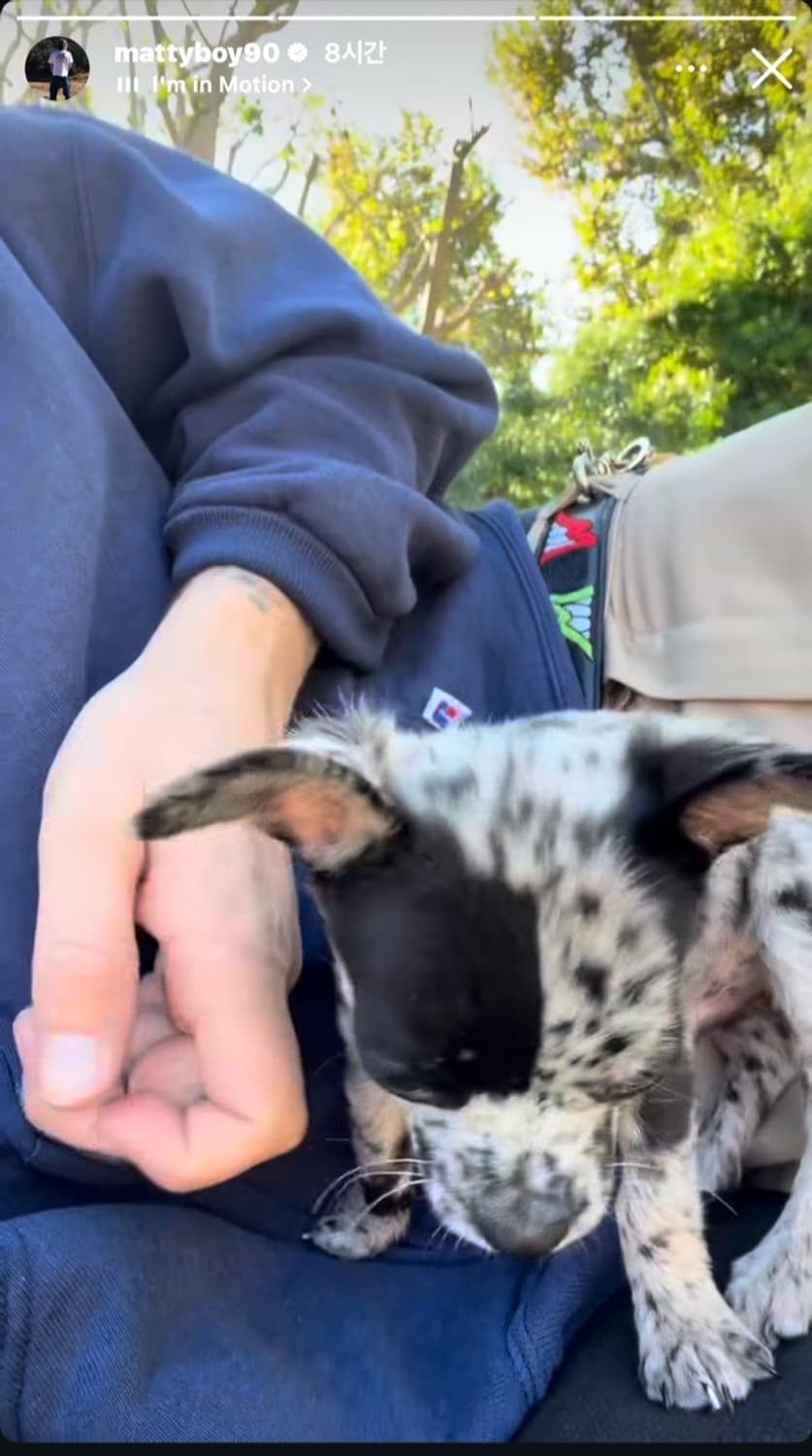 러셀 네이비 디스트레드 후드집업 / USA 생산 / L 매티보이 상품이미지6