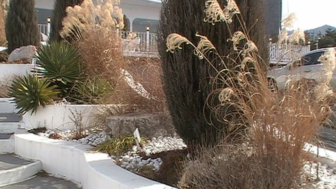 작례0/특가/ Jvc mg650 실버 빈티지 캠코더 카메라 상품이미지6