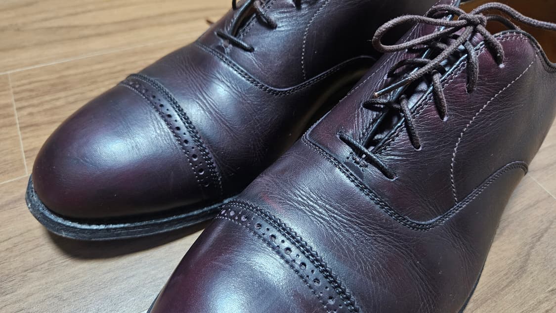 알든 905  / 260 상품이미지3