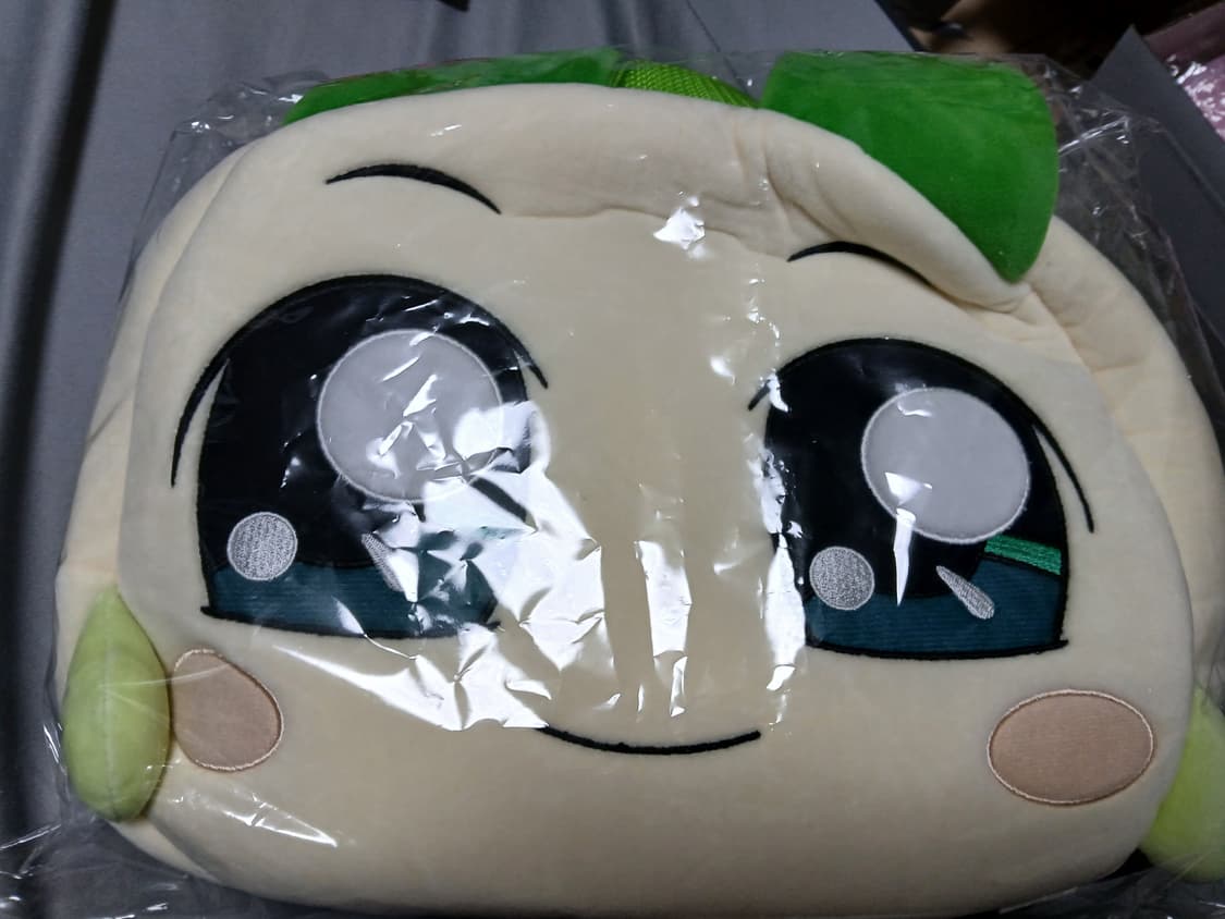 양파 쿵야 백팩 팝니다 상품이미지1