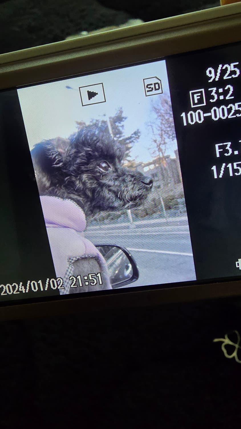 리코 R10 디카 판매합니다 상품이미지7