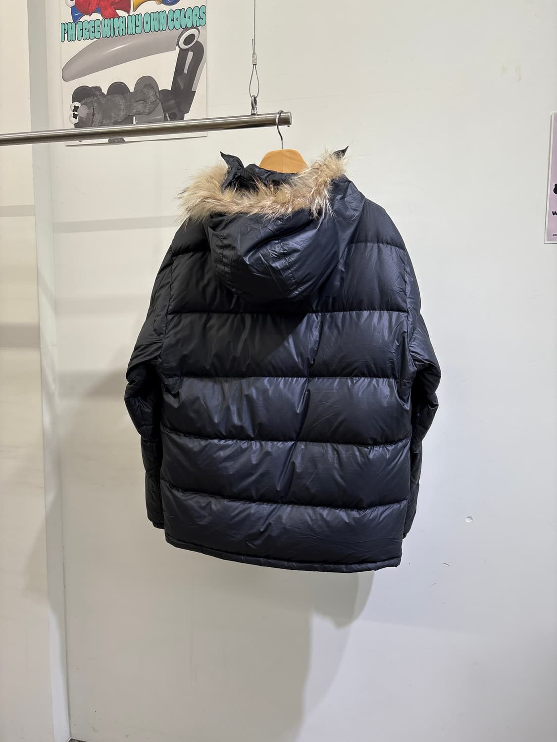 BEAR 패딩 상품이미지5