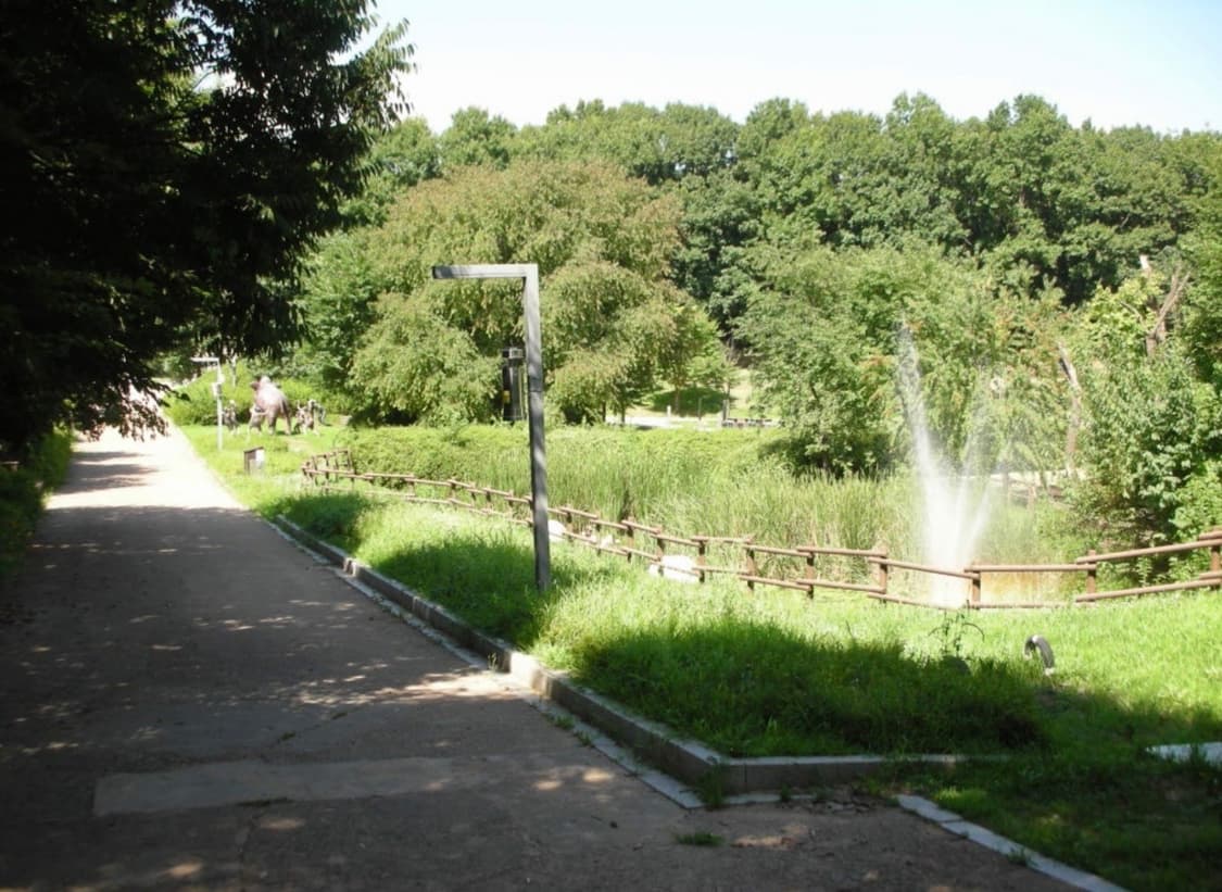 니콘 쿨픽스 s5 nikon coolpix s5 상품이미지5