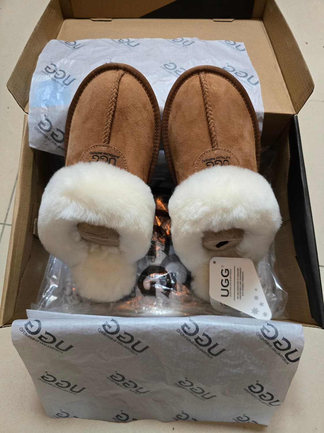 호주어그 코케트 체스트넛 260사이즈 상품이미지1