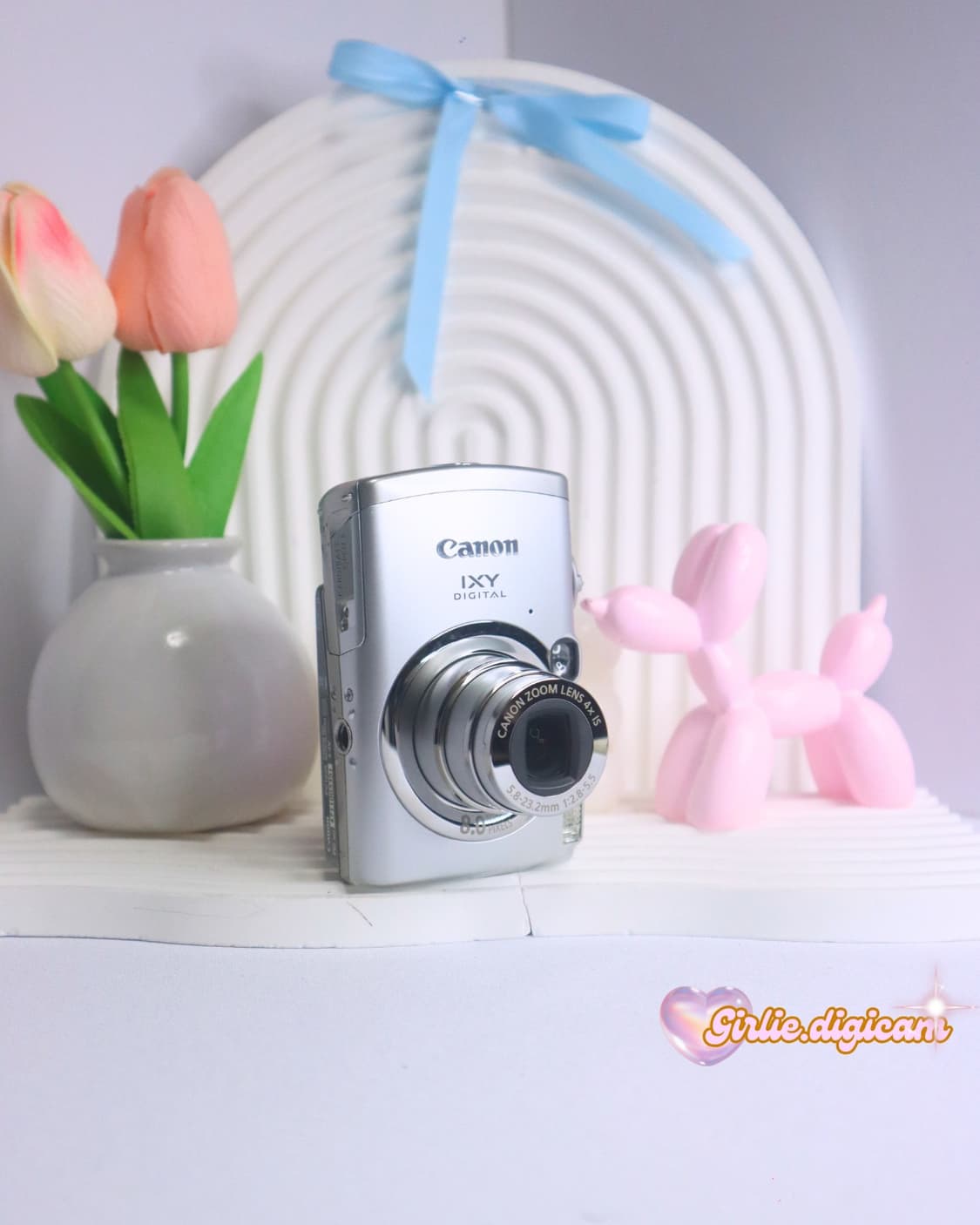 토모토모의픽!))  캐논 익서스950is/익시 810is 상품이미지2