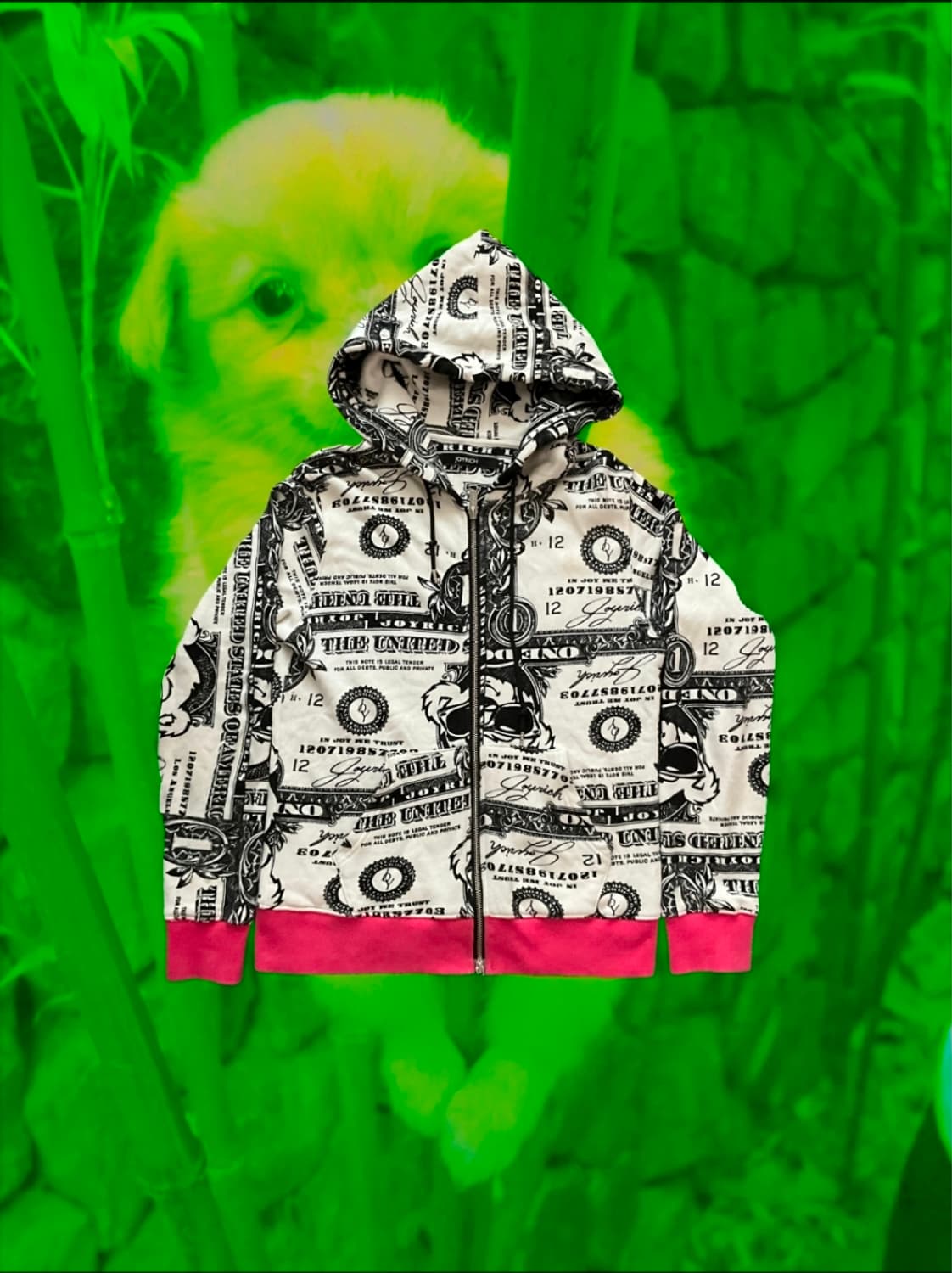 Joyrich Dollar Bill 프린트오버집업 y2k올드스쿨 후드집업 상품이미지1