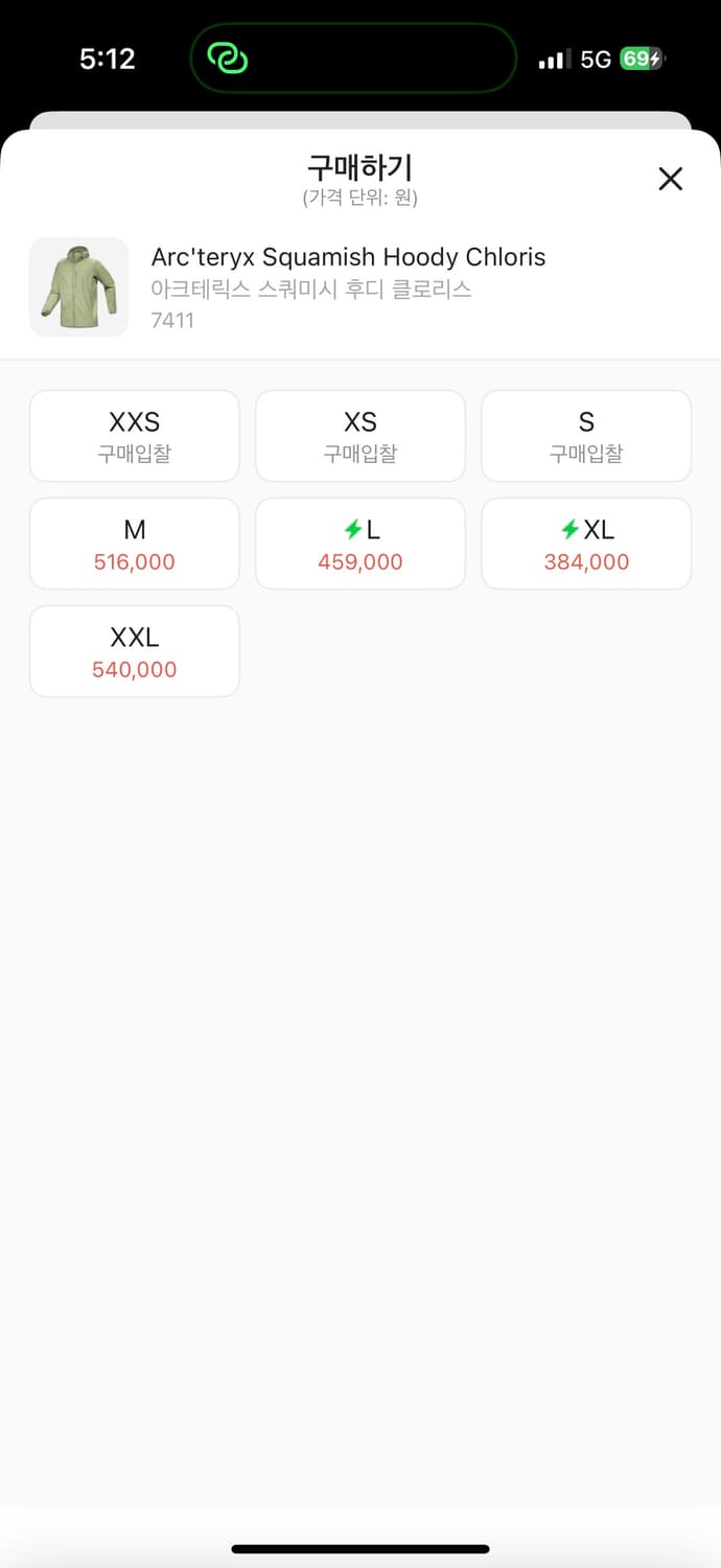 [L] 아크테릭스 스쿼미시 후디 클로리스 상품이미지5