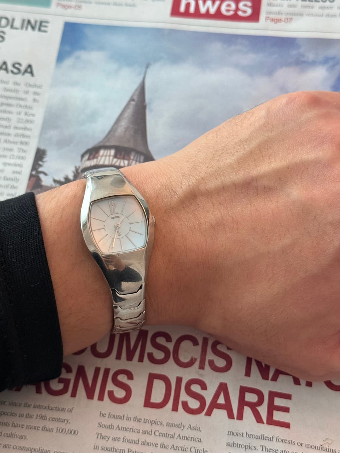 세이코 Seiko 쉘 실버 사파이어 상품이미지4