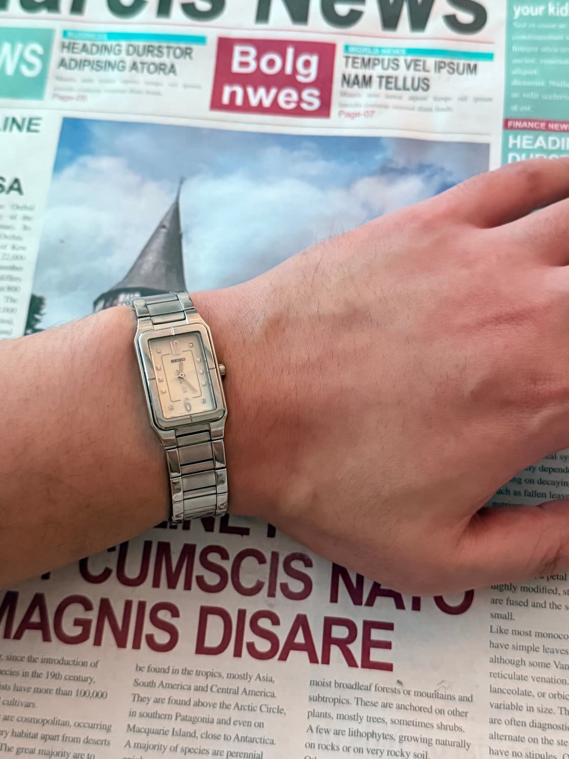 세이코 Seiko 스퀘어 레이디스 상품이미지4