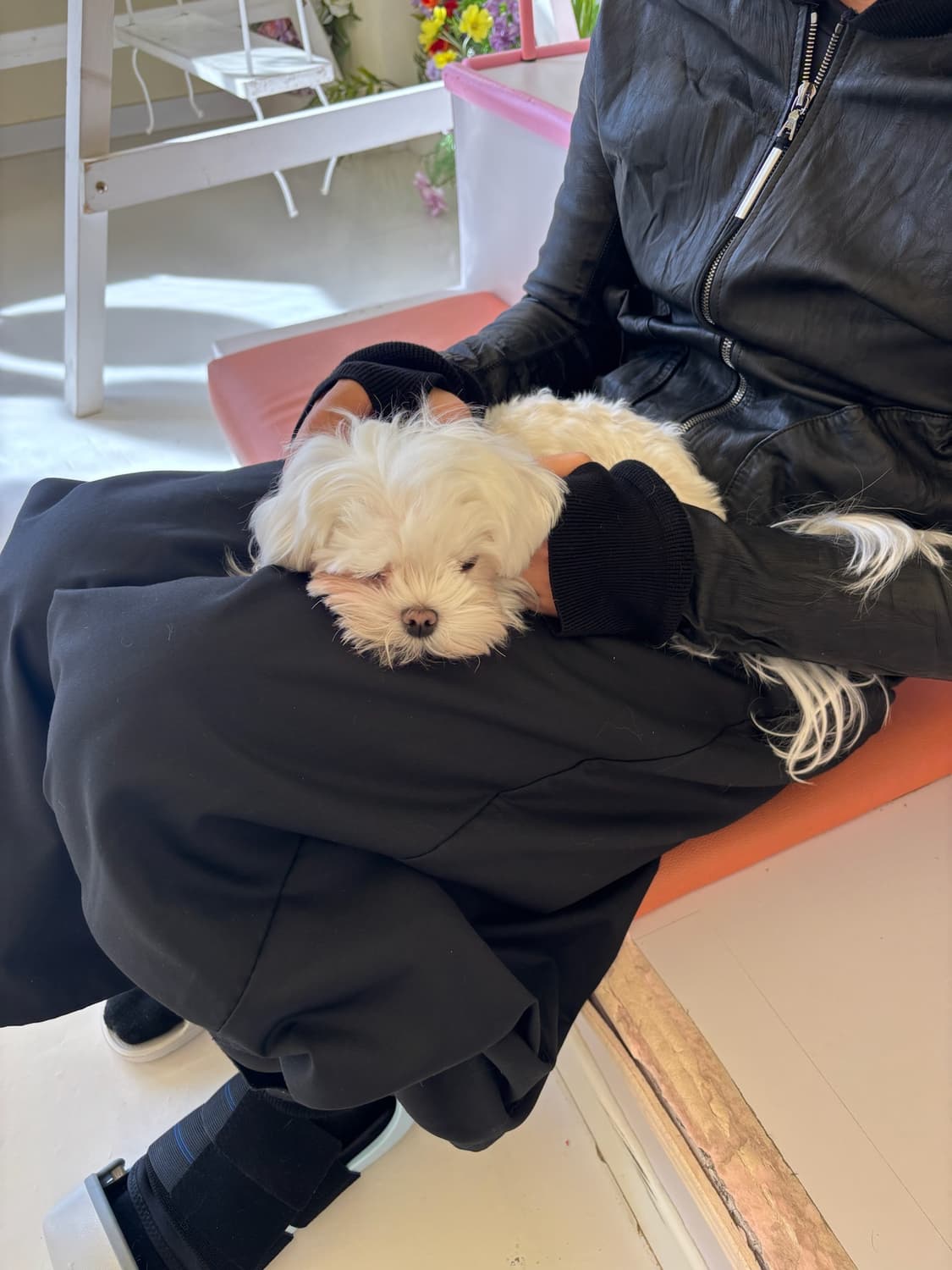 아이작 셀럼 L 상품이미지2