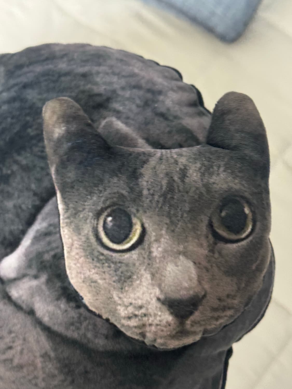 다나나 핀바루 고양이 쿠션 상품이미지3