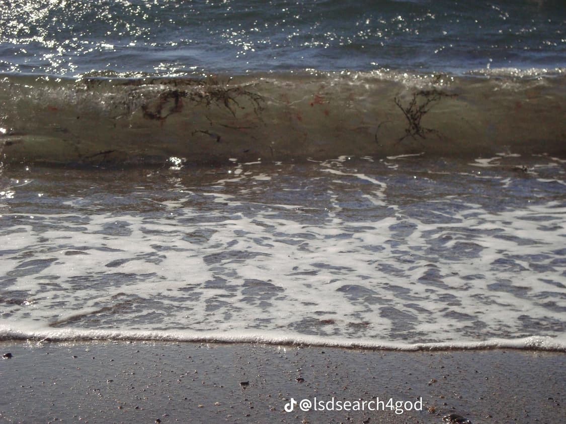 작례) 소니 사이버샷 DSC-W200 디지털 카메라 디카 똑딱이 상품이미지8