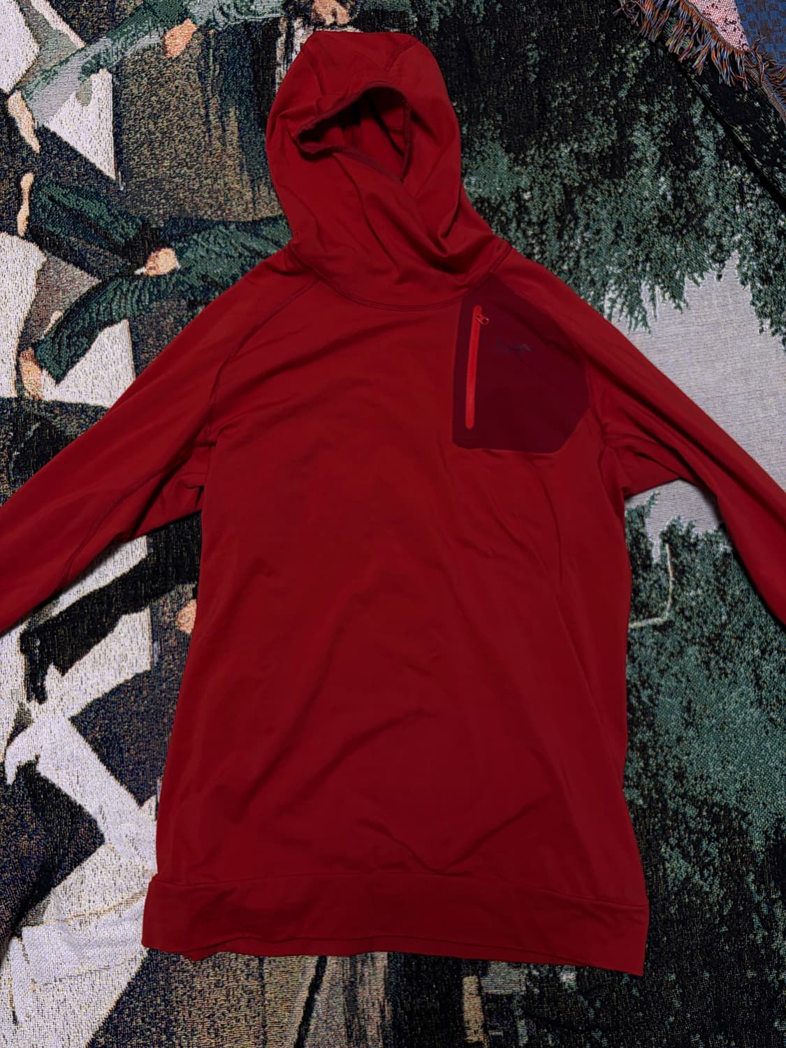 아크테릭스 후디 상품이미지1