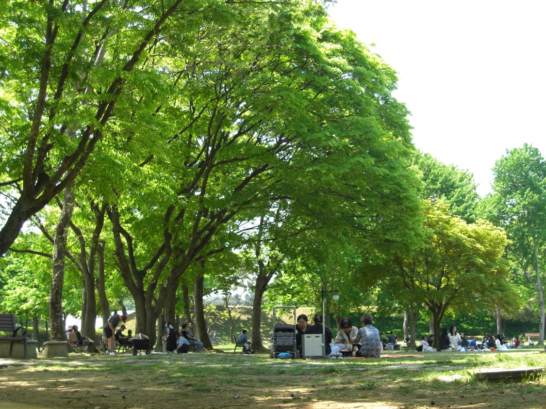 [판매] 카시오 엑슬림 z1080 (검정색) (작례O) 상품이미지9