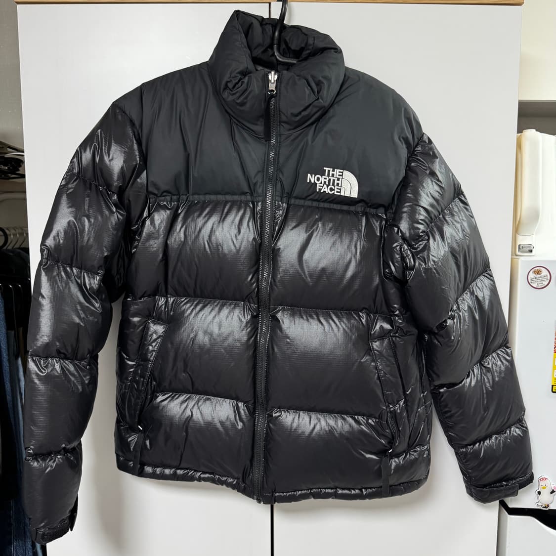 노스페이스 1996 에코 눕시 23FW 상품이미지1