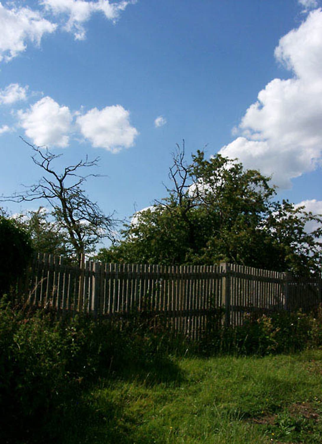 Kodak easyshare C613 (코닥 이지쉐어 C613) 상품이미지9