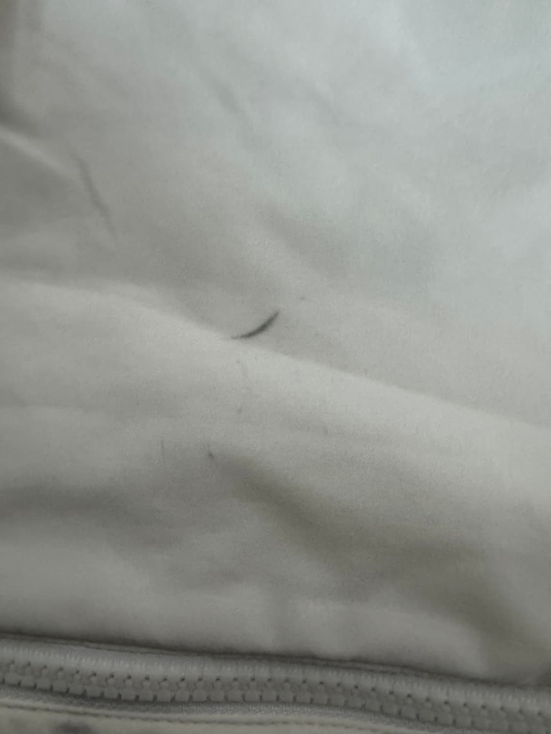 디스커버리 익스페디션 사이드 스펠로고 바람막이 L 상품이미지5